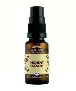 Moment présent Spray BIO, 20 ml